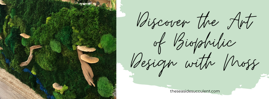 Discover the Art of Biophilic Design with Moss