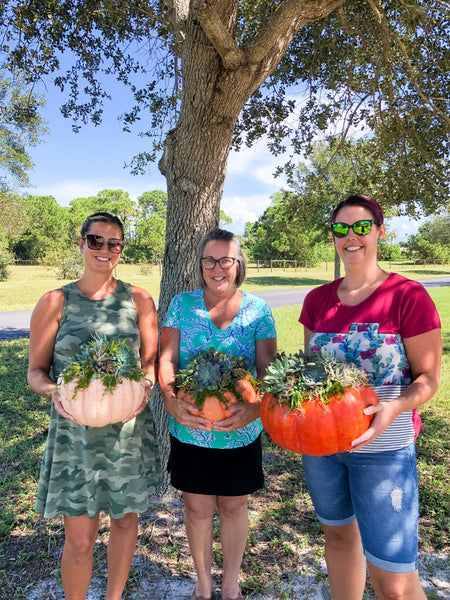 Add a Succulent Touch to Your Fall Decor