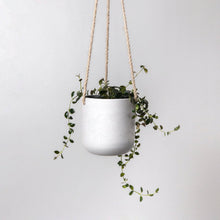Load image into Gallery viewer, 4&quot; Recycled Plastic Hanging Planter: Beachwood
