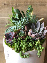 Load image into Gallery viewer, Custom Succulent Arrangements - MADE TO ORDER
