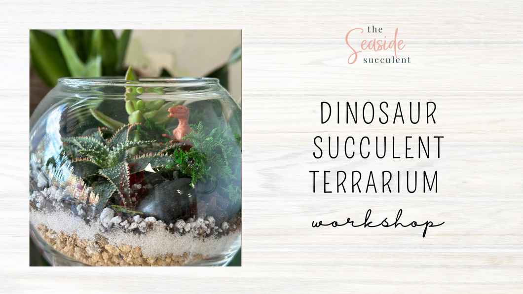 Dinosaur Succulent Terrariums @ Playalinda Brewing Co. 9/24