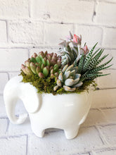 Load image into Gallery viewer, Custom Succulent Arrangements - MADE TO ORDER
