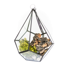 Load image into Gallery viewer, DIY Glass Diamond Terrarium
