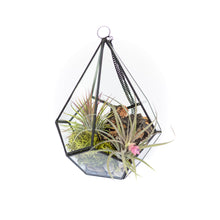 Load image into Gallery viewer, DIY Glass Diamond Terrarium
