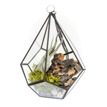 Load image into Gallery viewer, DIY Glass Diamond Terrarium
