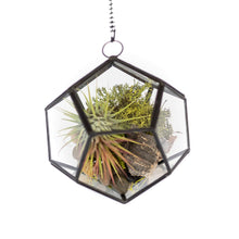 Load image into Gallery viewer, DIY Glass Pentagon Terrarium
