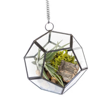 Load image into Gallery viewer, DIY Glass Pentagon Terrarium
