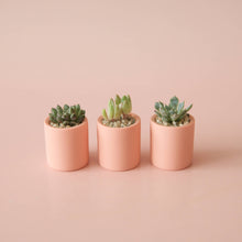 Load image into Gallery viewer, Tiny Pot - Peach
