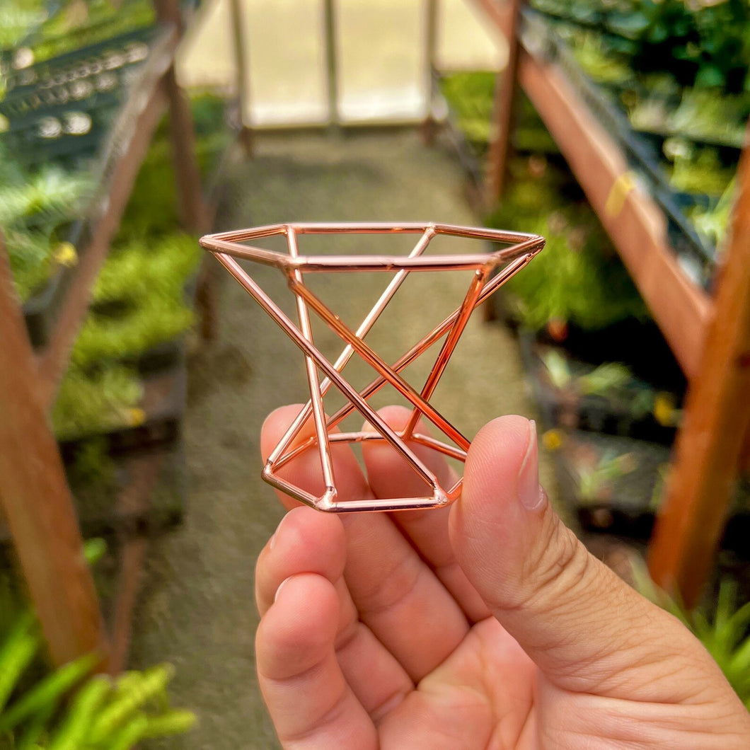 Rose Gold Geometric Metal Stand For Air Plants