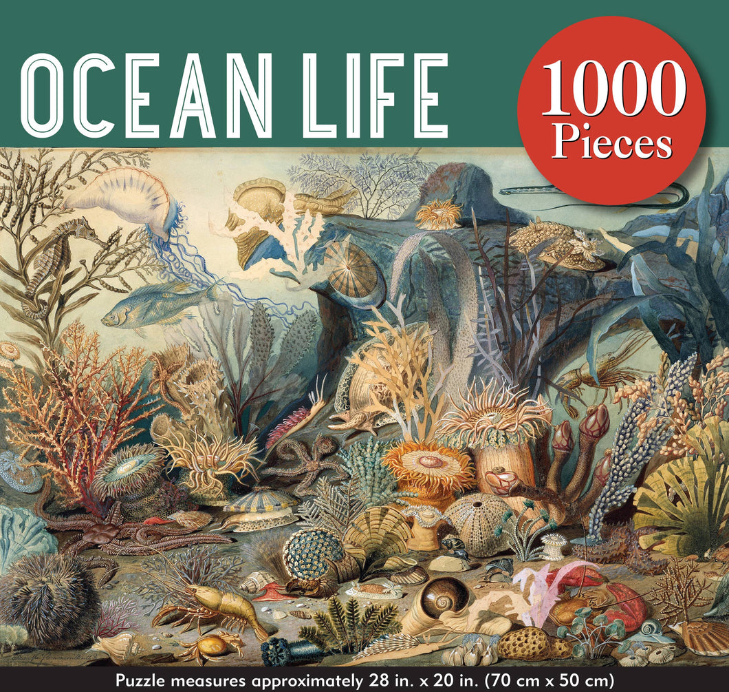 Ocean Life Puzzle