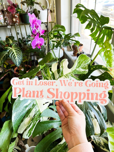Get in Loser, We’re Going Plant Shopping bumper sticker - The Seaside Succulent