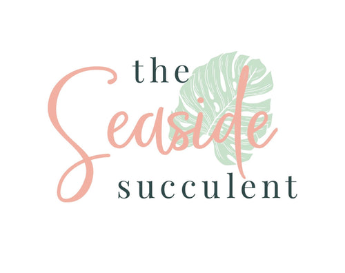 Gift Card to The Seaside Succulent - The Seaside Succulent