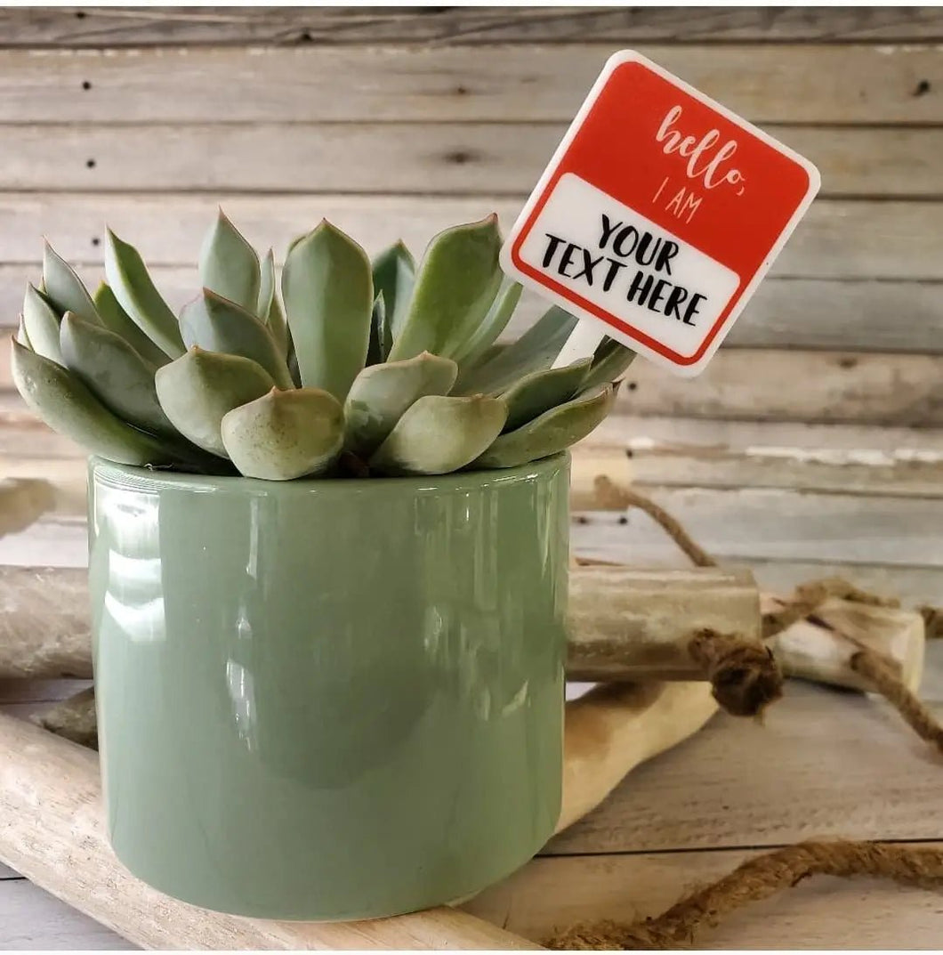 Hello I AM Plant Stake - The Seaside Succulent