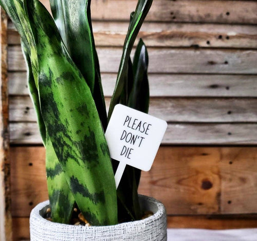 Please Don't Die Plant Stake - The Seaside Succulent