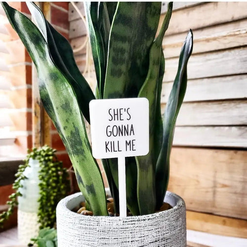 She's Gonna Kill Me Plant Stake - The Seaside Succulent