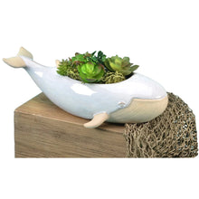 Load image into Gallery viewer, Sprouter Whale Planter - The Seaside Succulent
