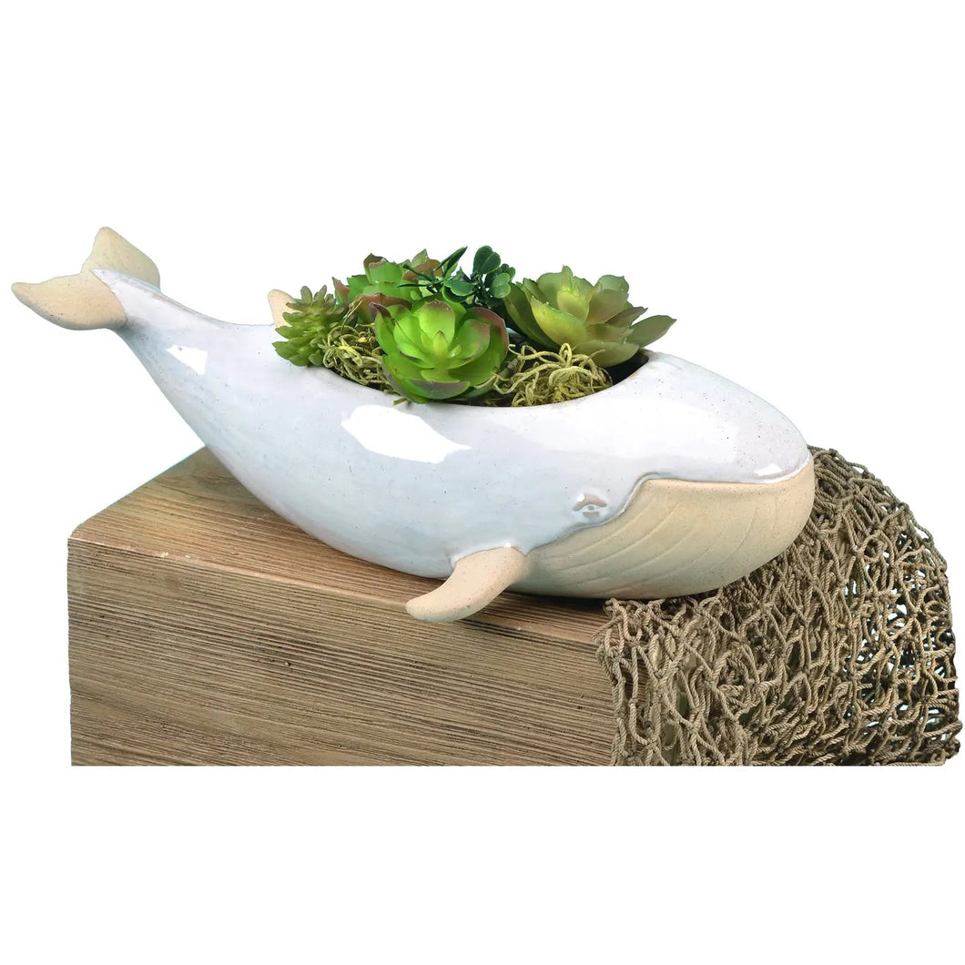 Sprouter Whale Planter - The Seaside Succulent